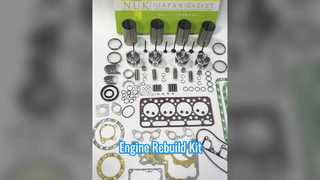 V1702 V1902 Overhaul Rebuild Kit