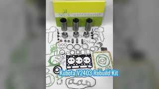 D1703 Overhaul Rebuild Kit For Kubota Engine