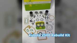 Z500 ZB500 Engine Overhaul Rebuild Kit for Kubota Tractor B5000 B5001 B5100