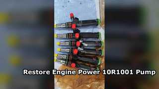 10R1001 HEUI Hydraulic Pump for Heavy Duty Engines